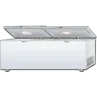  Upright Freezer