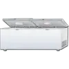 CHEST FREEZER 1.050 LITER