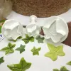 Veined Ivy Leaf