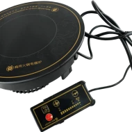 Induction Cooker