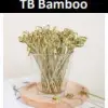 TUSUK BENTO BAMBOO 50PCS