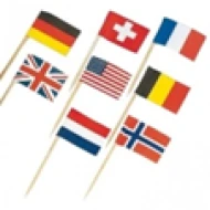 Party Flag International