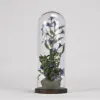Flower Glass Dome D.130x270mm with Wooden Base