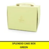 Splendid Cake Box GREEN uk20x20x15 cm 2pc